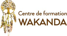centre-formation-wakanda-annecy-meythet